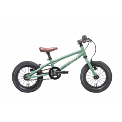 Cleary Gecko 12
